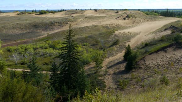 Au Canada, c'est la végétation qui gagne du terrain sur le désert. Au Canada, c'est la végétation qui gagne du terrain sur le désert.