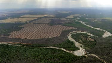 L'Argentine est le premier exportateur mondial de soja transformé, et les exportations sont lourdement taxées.