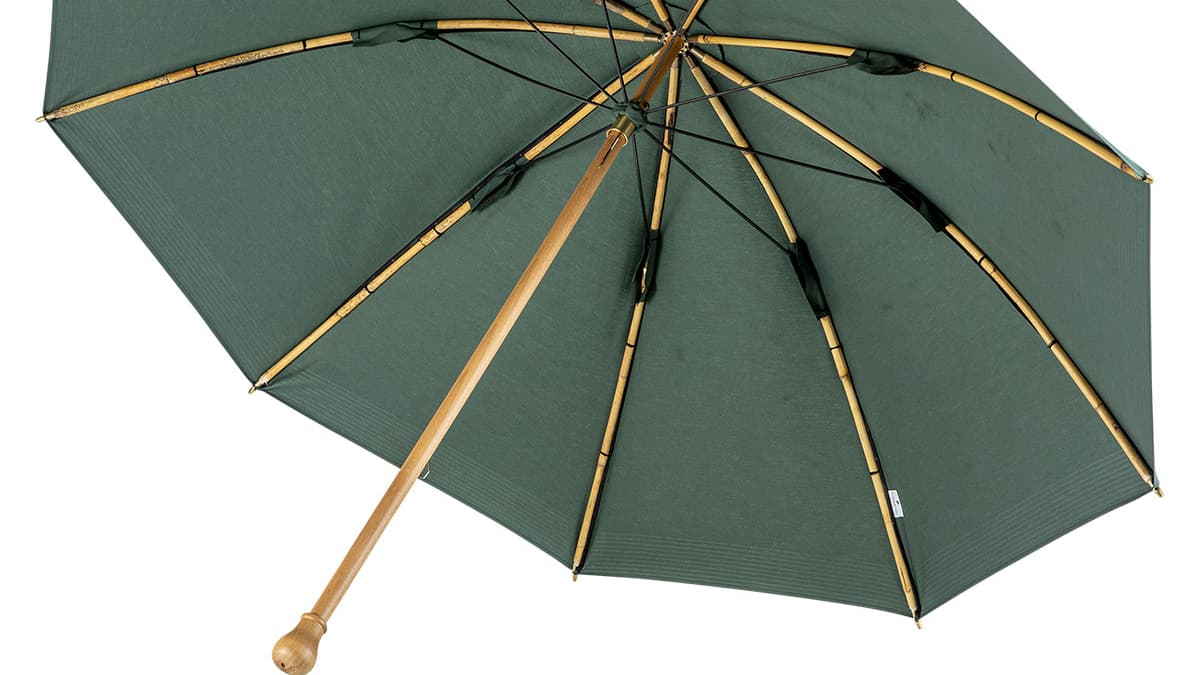 Le parapluie de Berger vert de Maison Piganiol