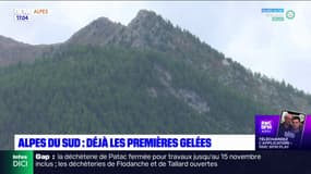 Alpes du Sud: déjà les premières gelées ce week-end