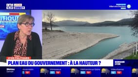 Plan eau: des objectifs qui arrivent "trop tardivement" selon la vice-présidente de la métropole de Lyon chargée de l'Eau
