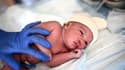 Le nombre de naissances a baissé de 7,2% sur les huit premiers mois de l'année 2023.