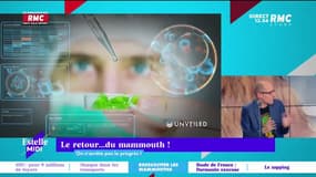 On n'arrête pas le progrès : Le retour... du mammouth ! - 28/06