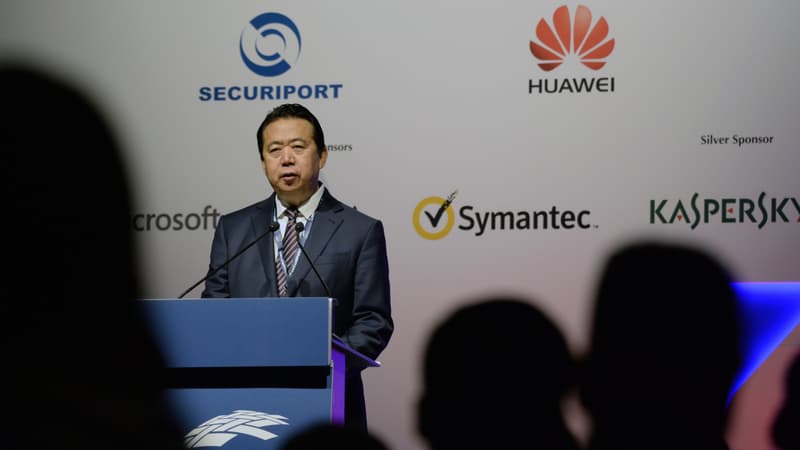 Meng Hongwei prononce un discours lors du Congrès mondial d'Interpol, le 4 juillet 2017.