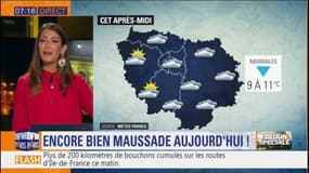 Un temps encore bien maussade ce vendredi avec des températures en baisse et quelques averses ce matin 