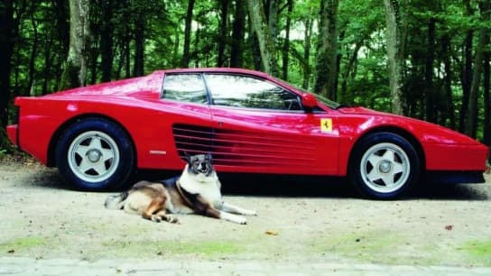 Selon AutoPlus, la Ferrari d'Alain Delon est estimée entre 40 et 80 000 euros