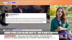 Arbre pour Ilan Halimi abattu: François Bayrou dénonce "la haine antisémite"