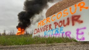 Des feux de la colère des agriculteurs dans le Rhône le 18 novembre 2024.