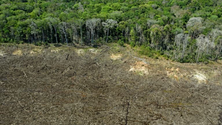 Une zone de déforestation de la forêt amazonienne à Sinop, dans l'Etat brésilien du Mato Grosso, le 7 août 2020
