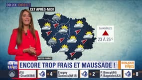 Météo Paris-Ile de France du 14 août: Temps frais et maussade