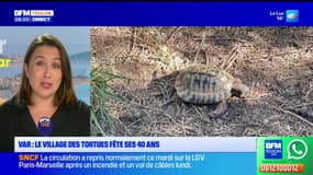 Le journal de 8h du mercredi 29 octobre 2025