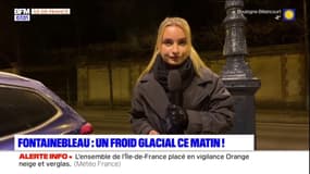Île-de-France: un froid glacial ce mardi matin, après la nuit la plus froide de l'hiver