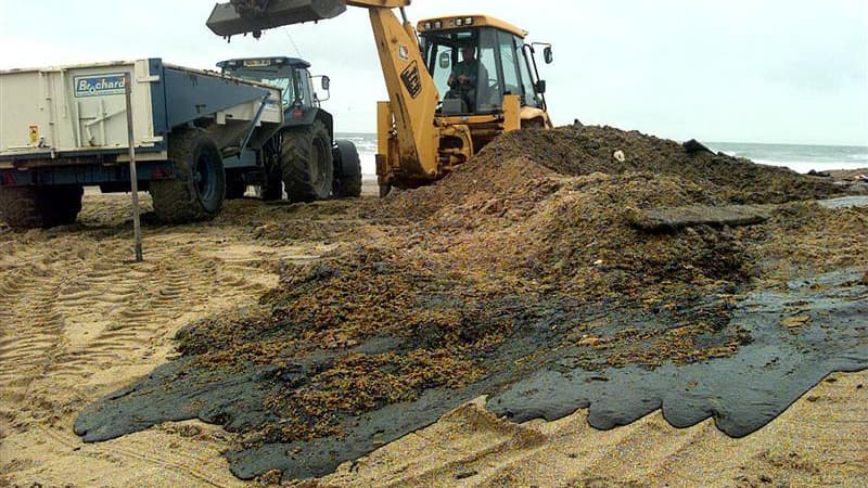 Opérations de nettoyage sur une plage de Brétignolles-sur-Mer, en Vendée, après le naufrage de l'Erika. Le parquet général de la Cour de cassation a proposé par écrit d'annuler la condamnation de Total, plus de 12 ans près le naufrage du pétrolier Erika a