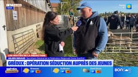 “On veut promouvoir ce métier” : à Gréoux-les-Bains, une journée ovine dédiée à la découverte 