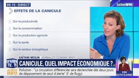 Quel impact la canicule pourrait-elle avoir sur l'économie française? 