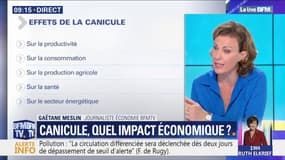 Quel impact la canicule pourrait-elle avoir sur l'économie française? 