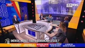 Faut-il supprimer le Cese? "C'est copinage et compagnie"