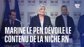 Réintégration des soignants non-vaccinés, uniforme à l'école: Marine Le Pen dévoile le contenu de la première niche parlementaire du RN 