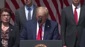"J'espère que George nous regarde en ce moment": Donald Trump estime que l'annonce de son bilan économique est un "grand jour" pour George Floyd