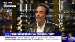 Anthony Delon: "Mon père nous a dit 'elle [Hiromi Rollin] frappe le chien, elle le bat avec le taser'"