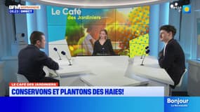 Le Café des Jardiniers: quelques conseils de plantations pour l'hiver