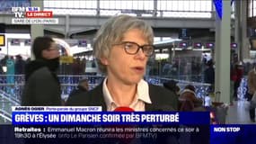Grève: Ce lundi, "il y aura 15 à 20% du trafic et beaucoup plus de monde, il y a un risque de saturation" déclare la porte-parole du groupe SNCF