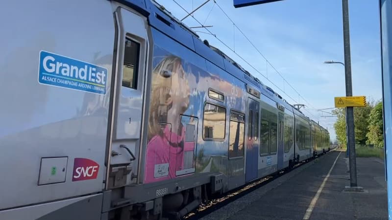 Alsace: retour à la normale du trafic des TER entre Colmar et Mulhouse après des perturbations liées à un vol de câbles