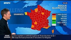 La météo pour ce lundi 8 juin 2015