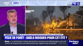 Incendie d'un camping au Cap d'Agde: "S'il y a du vent, le feu peut reprendre", assure Ludovic Pinganaud (ancien pompier) 