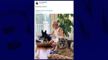 Jill Biden avec les deux chiens du couple, Champ et Major.