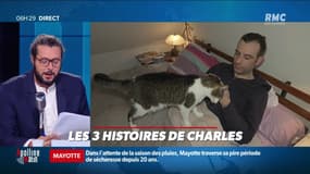 « Les 3 histoires de Charles Magnien » : Des objets oubliés insolites, les écrans nocifs pour les spermatozoïdes et le mouton le plus cher du monde - 01/09