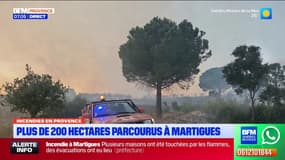 Incendie à Martigues: le feu n'est toujours pas fixé et a déjà ravagé 200 hectares