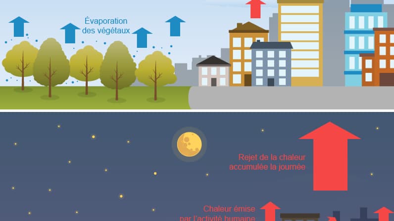 infographie îlot chaleur urbain 