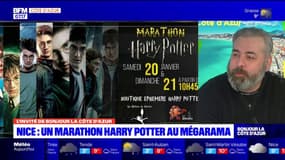 Nice: un marathon Harry Potter organisé ce week-end au Mégarama