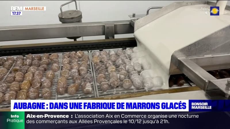 Aubagne: dans les coullisses d'une fabrique de marrons glacés