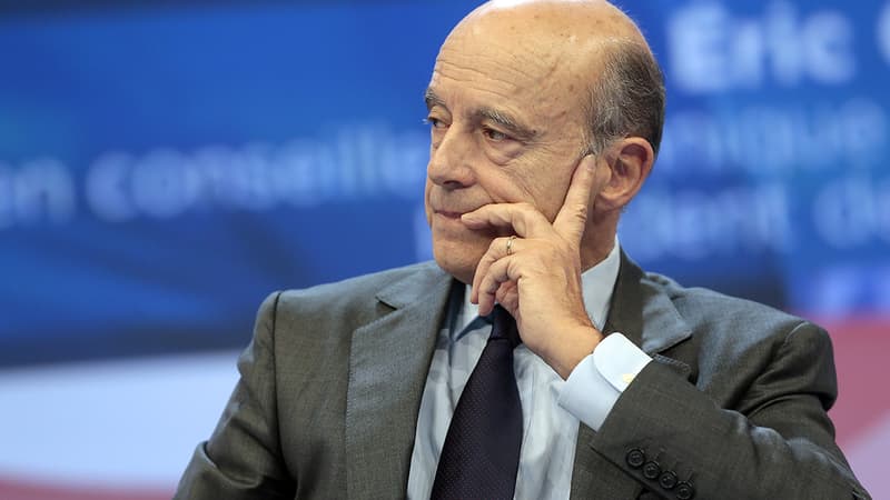 Alain Juppé le 20 novembre 2013 au congrès des maires de France, à Paris.