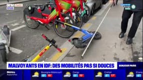 Malvoyants en Ile-de-France: des mobilités pas si douces