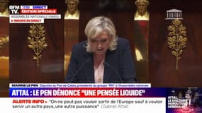 Déclaration de politique générale de Gabriel Attal: Marine Le Pen dénonce la "pensée liquide" du macronisme 