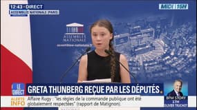 "Parce que nous citons des faits, nous sommes l’objet de menaces": Greta Thunberg s'exprime à l'Assemblée nationale