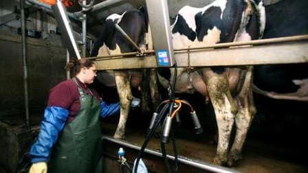 A nouveau opposés sur le prix du lait, producteurs et industriels français ont finalement trouvé mardi un accord pour le deuxième trimestre de l'année, selon le ministre de l'Agriculture Bruno Le Maire. /Photo d'archives/REUTERS/Stéphane Mahé