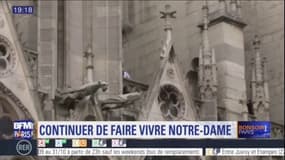 Six mois après l'incendie de Notre-Dame, le recteur de la cathédrale espère continuer de la faire vivre