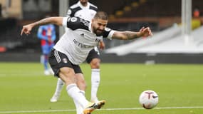 Aleksandar Mitrovic