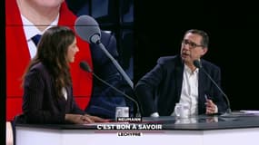 Un village normand fait de la résistance au projet de station terrestre d'Elon Musk.