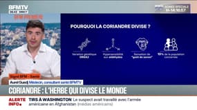 Santé: une variation d'un chromosome est impliquée dans la perception du goût de la coriandre