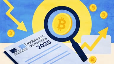 Comment déclarer les revenus de ses cryptomonnaies cette année ?