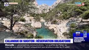 Calanque de Sugiton: l'accès sur réservation remis en place pour une deuxième année consécutive