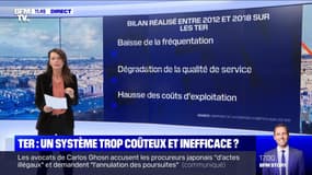TER : un système trop coûteux et inefficace ? - 24/10
