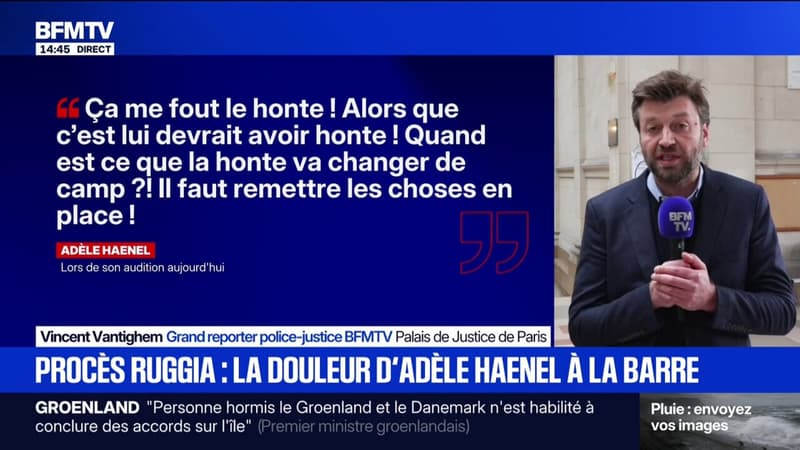 "Quand est-ce que la honte va changer de camp?": ce qu'a dit Adèle Haenel lors de son audition dans le procès de Christophe Ruggia