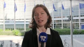 Les parlementaires européens élus à la proportionnelle