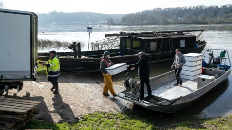 Le gouvernement annonce un "délai de paiement sans frais" aux pêcheurs, mais pas de remise directe à la pompe (alors que le gazole marin a bondi d'environ 60% depuis le début de la guerre au Moyen-Orient)